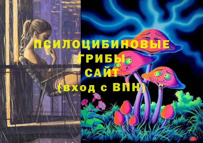 Псилоцибиновые грибы Cubensis  ссылка на мегу ONION  Вичуга  цены  